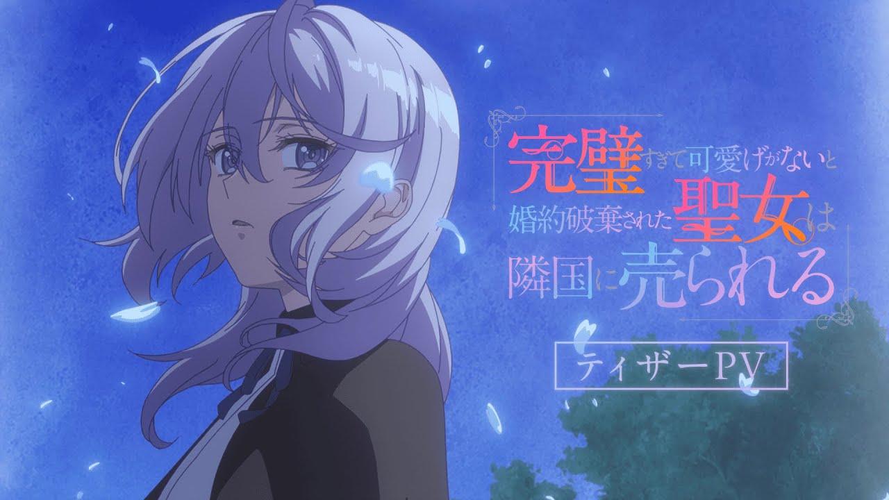 انمي Kanpekisugite Kawaige ga Nai الحلقة 12 الثانية عشر والاخيرة مترجمة